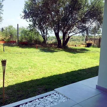 Vakantiehuis With Fantastic View